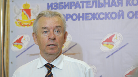 Член ЦИК России оценил готовность воронежского облизбиркома к единому дню голосования