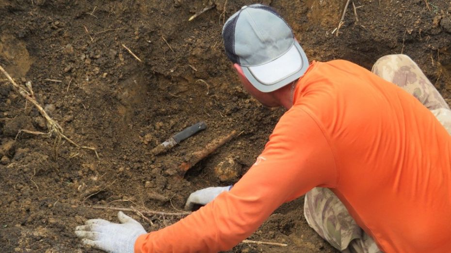 В Кантемировском районе поисковики обнаружили останки 40 красноармейцев