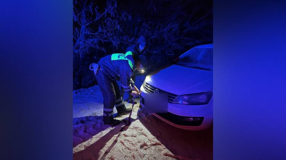 Воронежские полицейские помогли водителю встретить Новый год в тепле