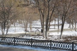 В райцентре Воронежской области обустроят парк «Защитников Отечества» за 20 млн рублей
