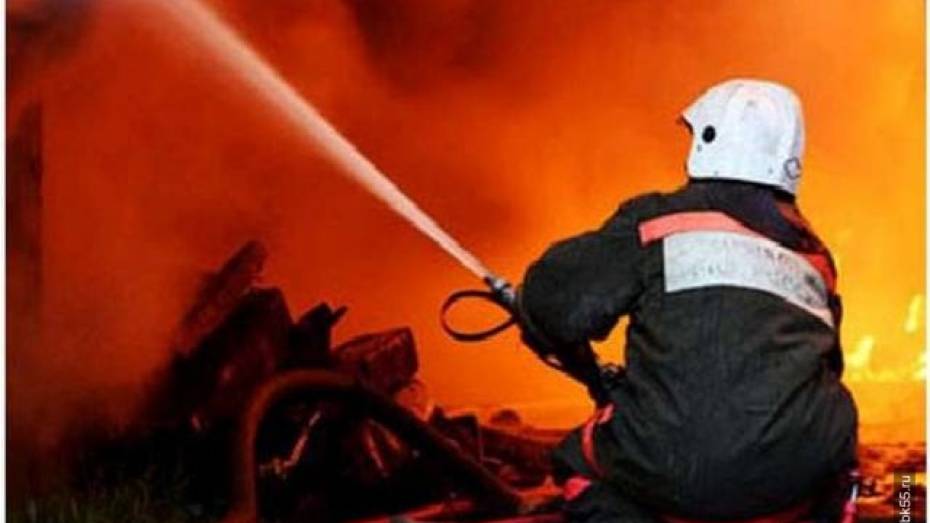 Воронежские пожарные спасли из горящей коммуналки 22 человека