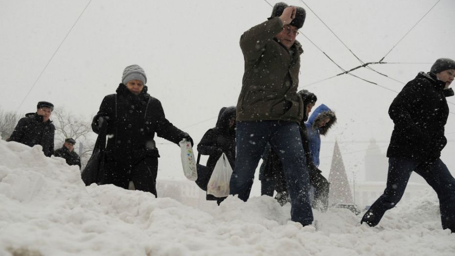 В ночь на 23 января воронежские коммунальщики будут усиленно вывозить снег с улиц