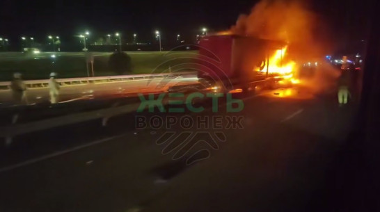 В Воронежской области фура влетела в отбойник и вспыхнула: видео