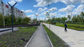 Губернатор рассказал о сроках появления велодорожки в центре Воронежа