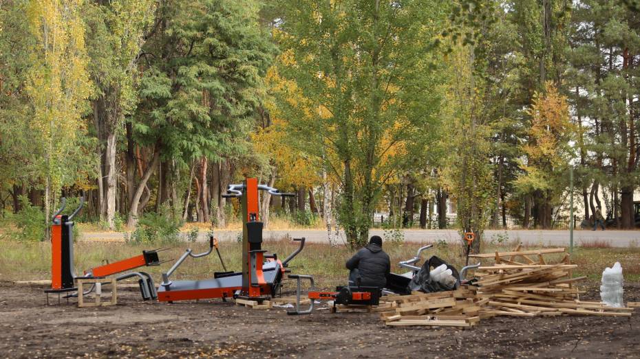 В воронежском парке «Танаис» началась установка уличных тренажеров
