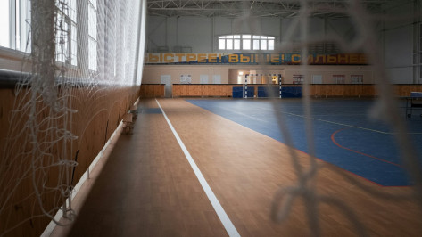 На территории бывшей турбазы «Колос» в Воронеже может появиться спортивный комплекс