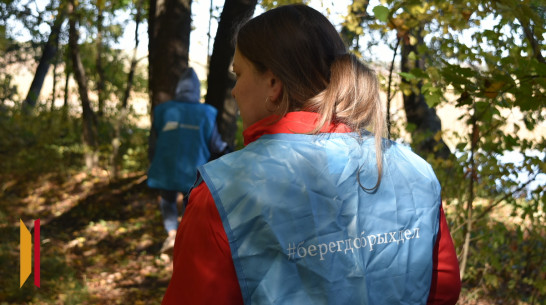 В Грибановском районе волонтеры очистили от мусора берег реки Савалы