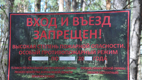 Запрет на въезд в леса Воронежской области могут продлить до 19 августа