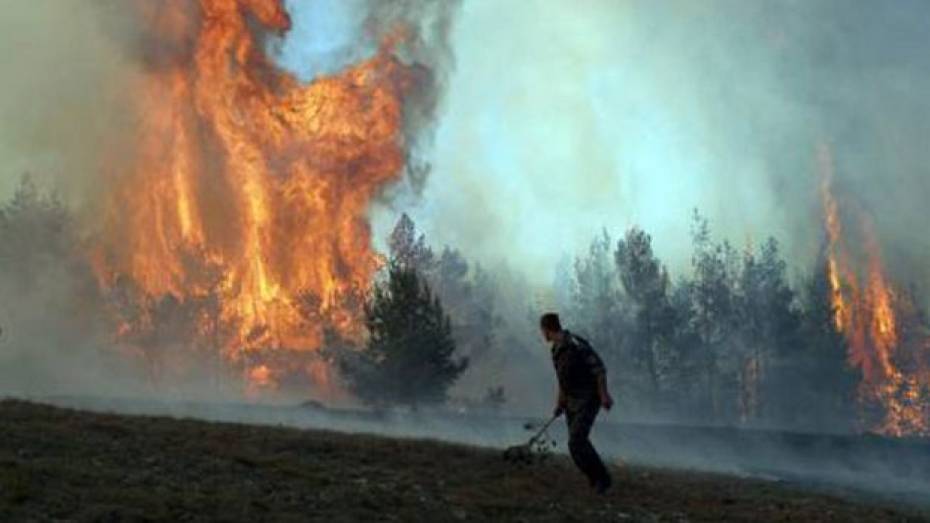В Воронежской области целая деревня едва не сгорела из-за неосторожного обращения с огнем