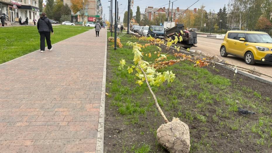 В Семилуках благоустраивают улицу Дзержинского