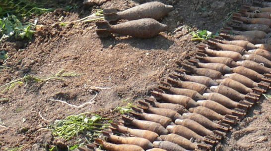 В Рамонском районе обнаружен полевой склад боеприпасов времен Великой Отечественной