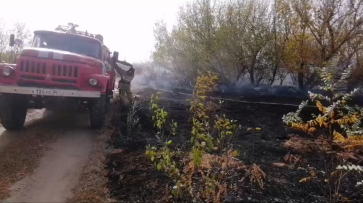 Воронежское село Бычок пострадало от пожара: видео