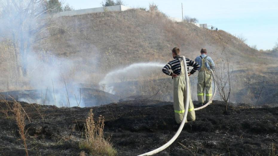 В Лисках спасатели за выходные потушили 18 пожаров