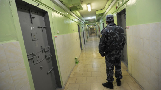 Адвокат Надежды Савченко: воронежские следователи проверят информацию о похищении украинки