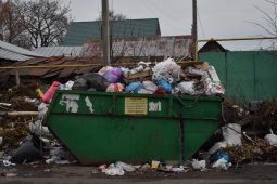 На прямой линии с губернатором жители Борисоглебска подняли проблему с вывозом мусора