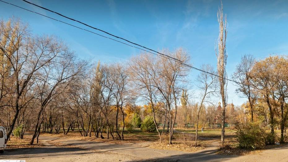 Двоих воронежцев госпитализировали после падения ветки в Южном парке