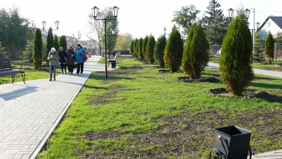 Воронежские власти профинансировали 25 проектов благоустройства парков