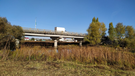 Под Воронежем капитально отремонтируют мост через протоку реки Усмань