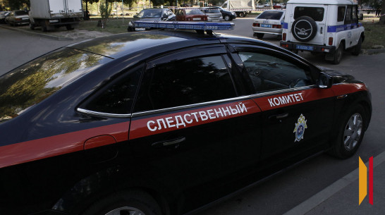 В Воронежской области депутат сельского поселения похитил 2,7 млн рублей субсидий