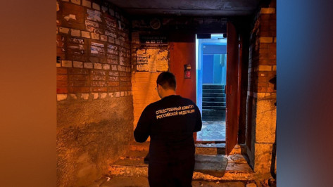 Причиной пожара с двумя погибшими в Воронеже могла стать неосторожность при курении