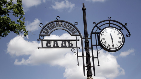 От незаконной реконструкции спасли здание в Бринкманском саду Воронежа