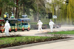 В Воронеже начали обрабатывать парки от клещей и комаров