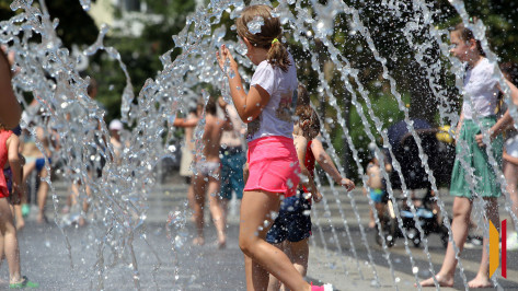 Жару и грозы спрогнозировали в Воронеже в выходные