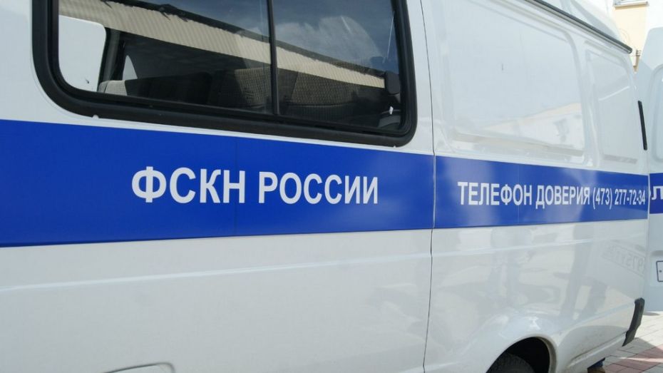 В Россоши начальник отдела наркополиции отказался от взятки в 20 тыс рублей 