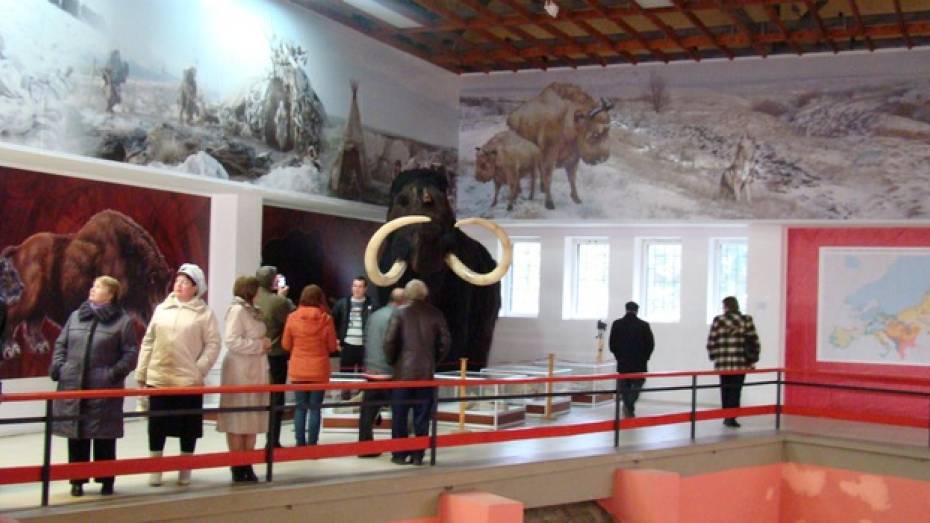 Для хохольского музея «Костенки» прошедший сезон стал рекордным по числу посетителей