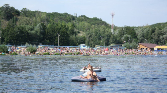 Власти Воронежа проверят арендаторов городских пляжей 