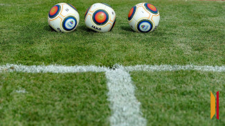 Матч воронежского «Факела» и «Текстильщика» в Кубке России рассудит Игорь Захаров