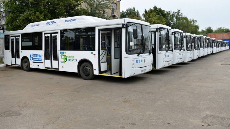 Власти Воронежа закупят автобусы на газе на аукционе 