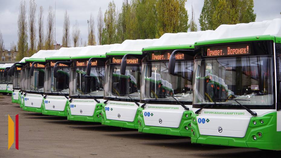 Воронежская область получит дополнительно 43 новых автобуса