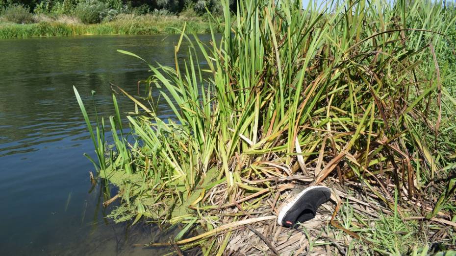 В Воронежской области в реке Ворона нашли тело 46-летнего мужчины