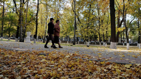 Гид РИА «Воронеж»: куда сходить на выходные 4 и 5 ноября