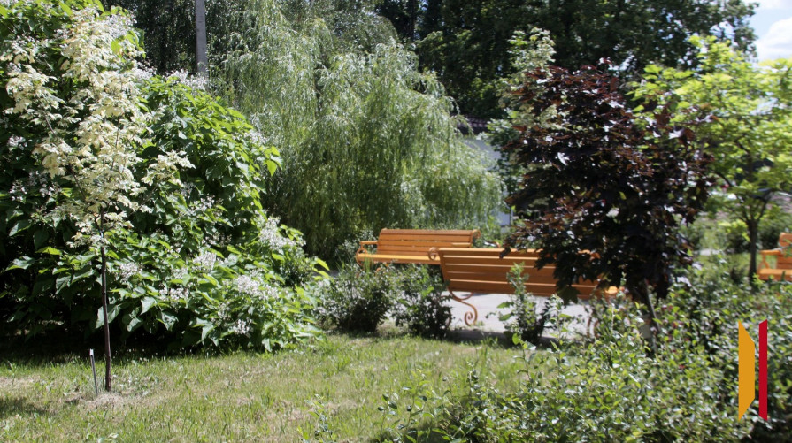 В Воронеже появятся еще 10 зеленых зон