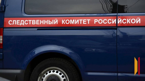 Глава СК запросил доклад по делу об избиении 13-летнего подростка в Воронеже