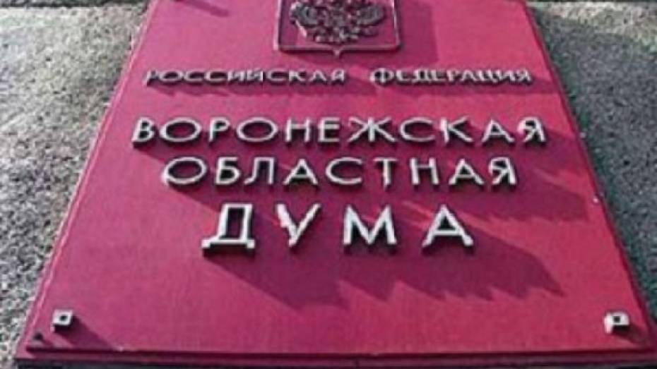 Депутаты облдумы предложили наложить мораторий на строительство в историческом центре Воронежа