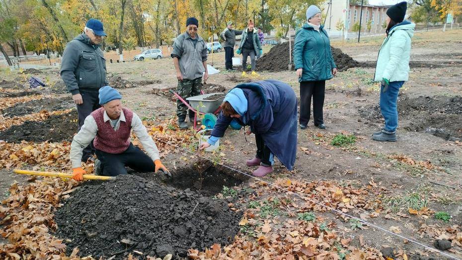 В острогожском селе Коротояк высадили более 100 саженцев березы и дуба