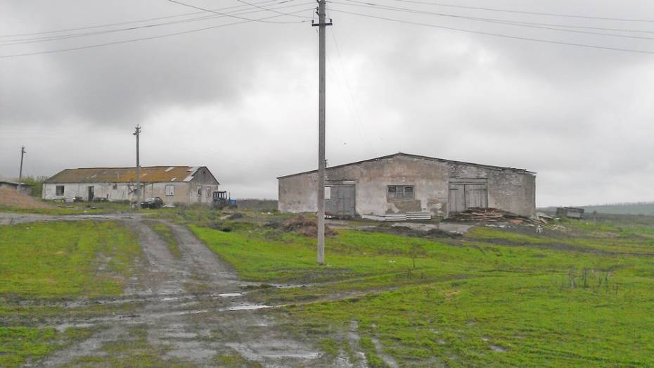 В Семилукском районе имущество муниципальной фермы продадут с аукциона