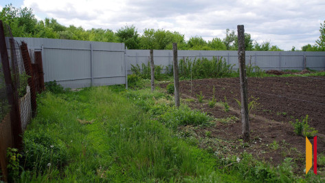 Более 500 воронежских бойцов СВО получили земельные участки или выплату