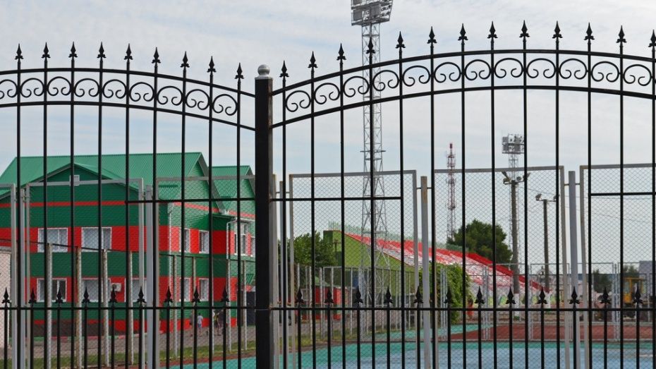 Реконструкция стадиона «Локомотив» в Воронежской области завершится к 15 июля 2018 года
