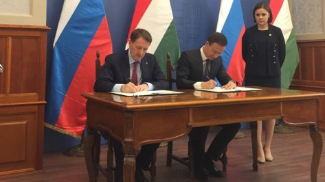 Воронежская область подписала соглашение о сотрудничестве с Венгрией