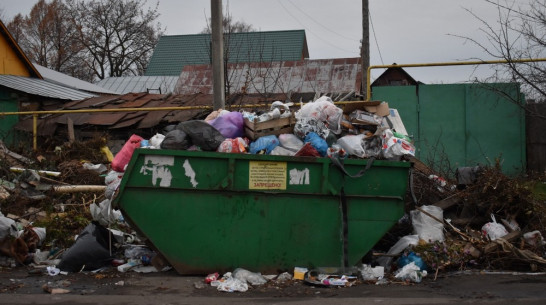 На прямой линии с губернатором жители Борисоглебска подняли проблему с вывозом мусора