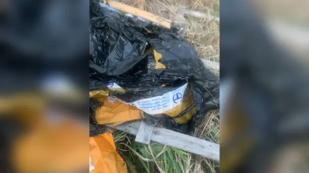 Жителей воронежского микрорайона Нефтебаза встревожили останки животных на поле