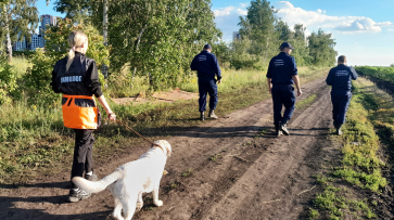 Воронежские волонтеры помогли найти 3-летнюю девочку, которая потерялась в поле с подсолнухами
