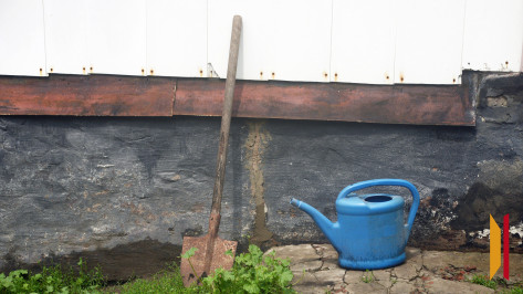 В Воронежской области пьяный подросток избил лопатой знакомых и похитил у них 25 тыс рублей