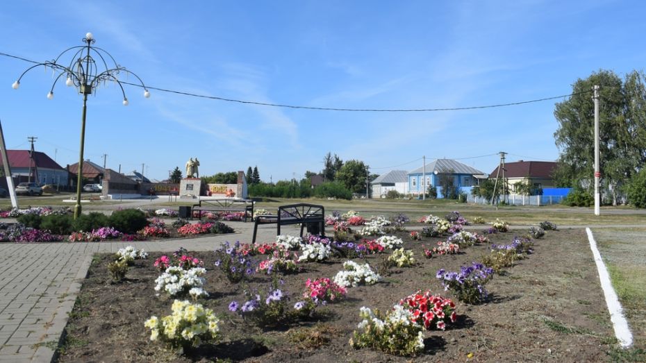 В грибановском селе Нижний Карачан посадят 600 цветов и кустарников