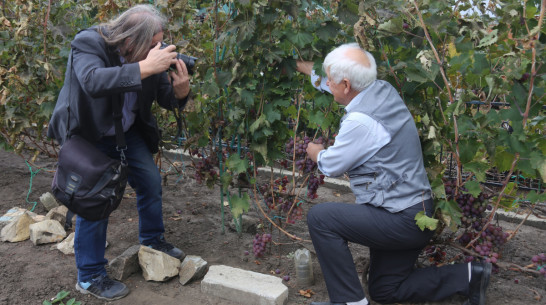 Для выставки в Воронеже сфотографируют победивших рак