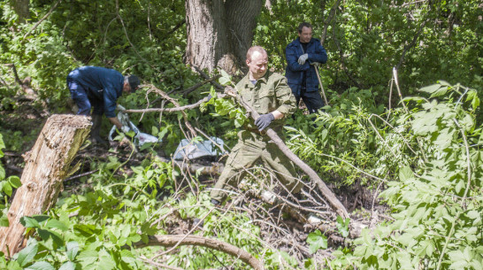 Лискинцев попросили помочь расчистить русло реки Тормосовка